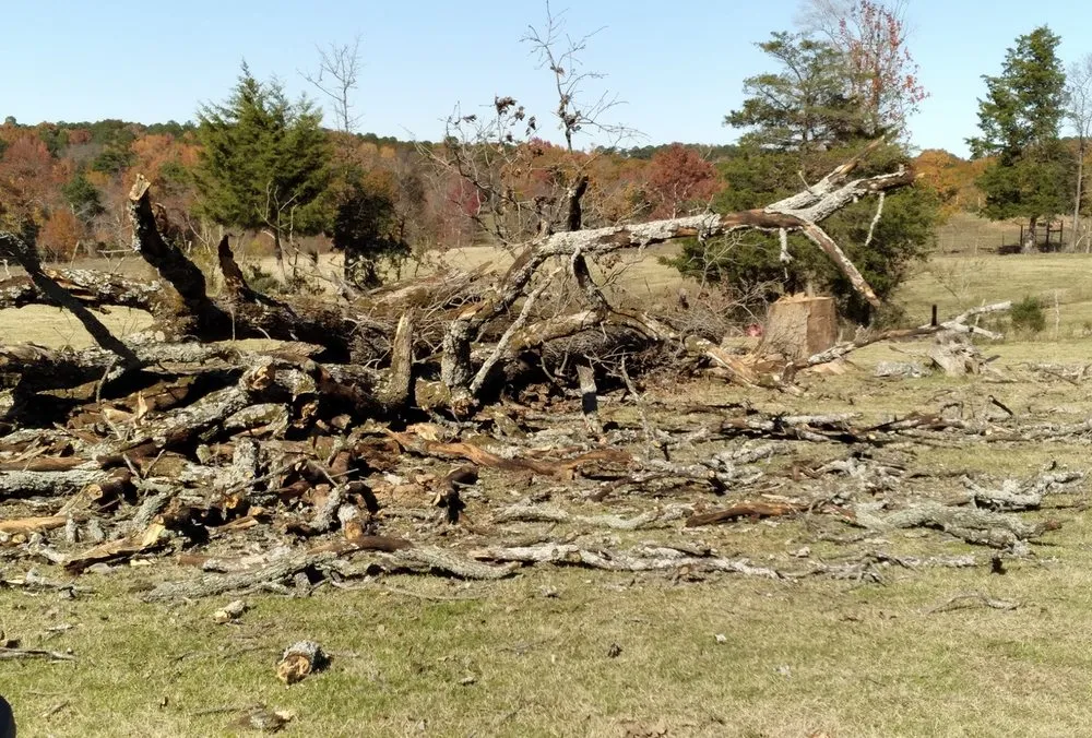 Expert outdoor landscaping in Clarksville City, TX - The Firewood Gals