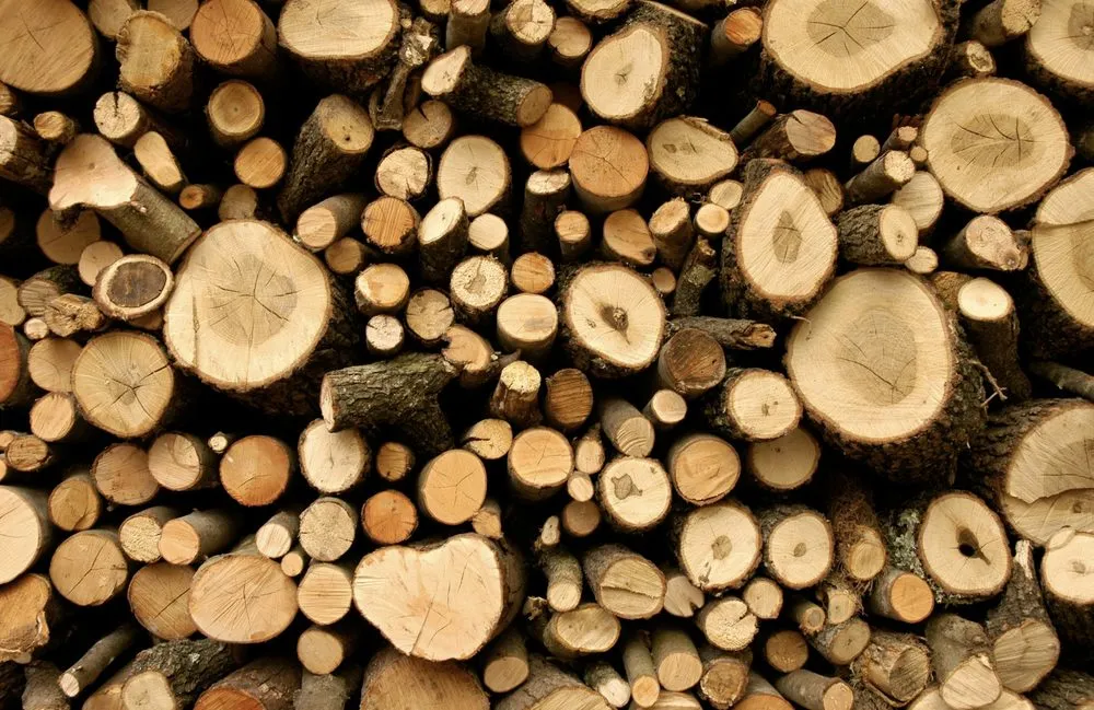 Custom yard maintenance for residential properties across Clarksville City, TX - The Firewood Gals