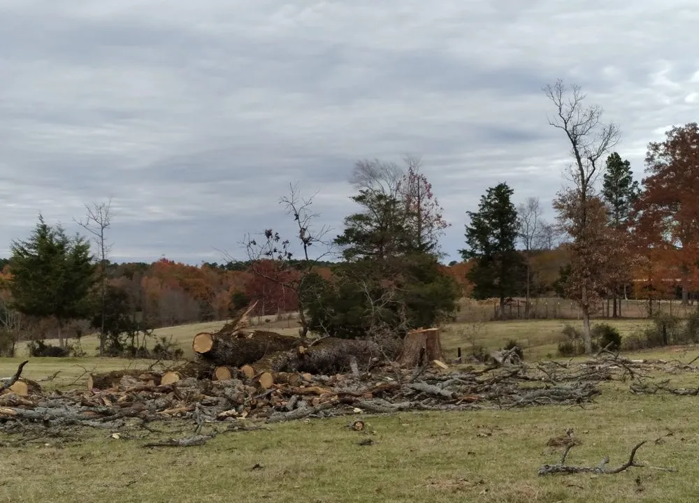 Custom landscape installation for residential properties across Clarksville City, TX - The Firewood Gals