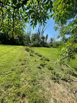 The First Landscaping