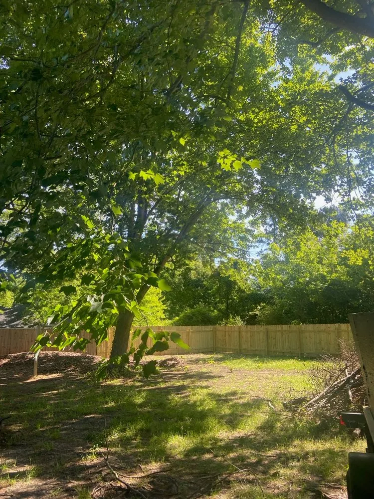 Trusted yard cleanup service for beautiful yards in Montrose, VA by The Fixit Zack