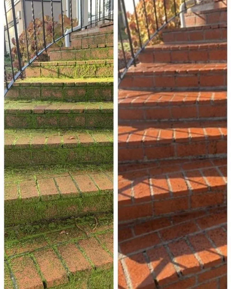 Affordable garden landscaping for beautiful yards in Bogota, NJ by The Flores Brother's