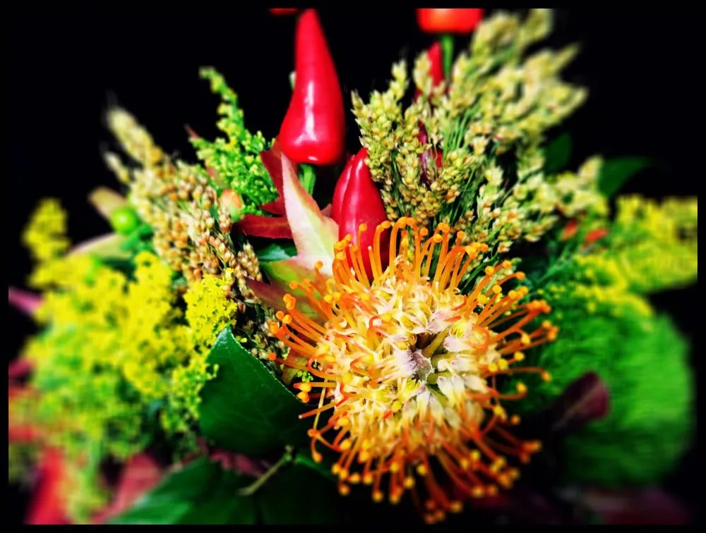 Expert yard maintenance in Reno, NV - The Florist at Moana Nursery