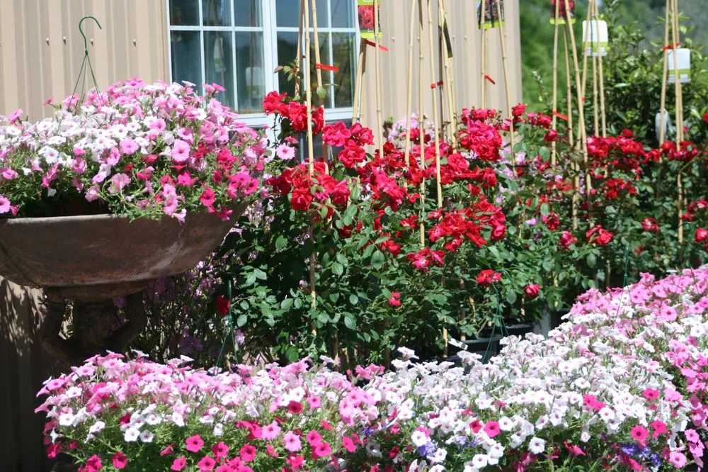 Trusted lawn mowing service for beautiful yards across Lumberton, MS - The Flower Bed Nursery