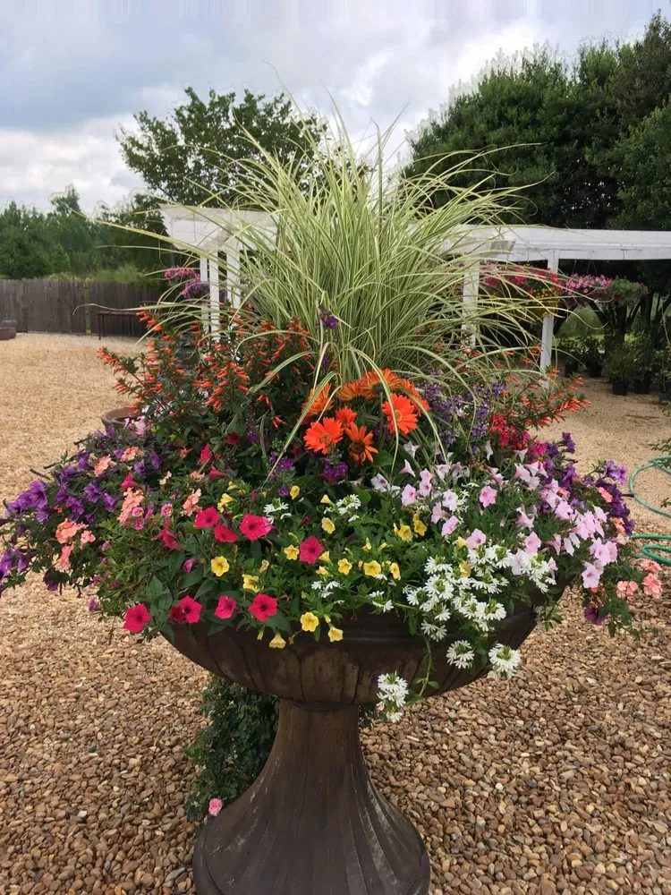 Reliable yard maintenance for year-round maintenance across Lumberton, MS - The Flower Bed Nursery