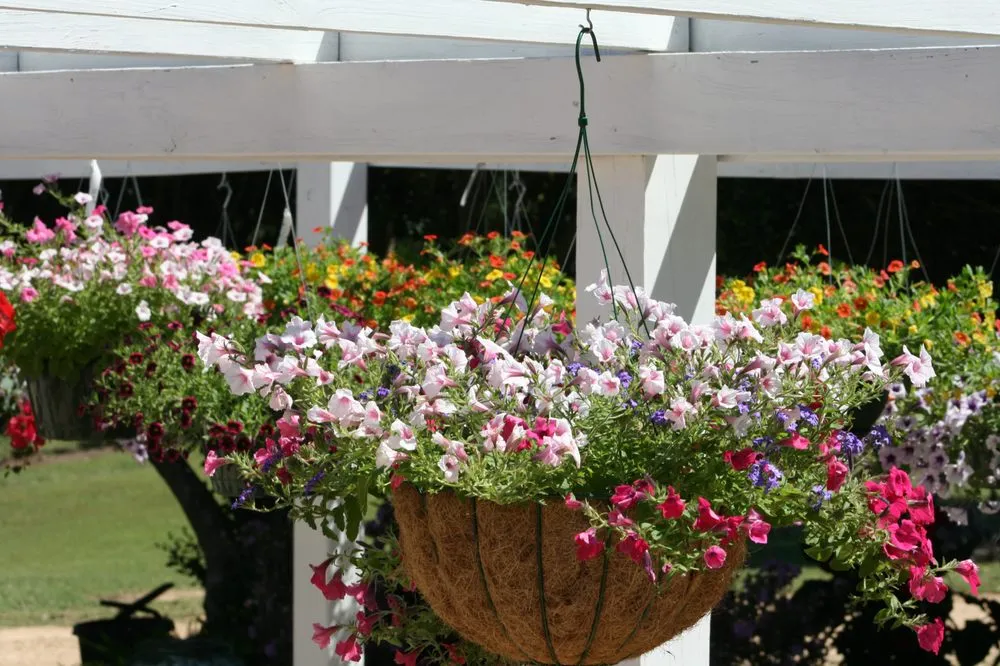 Reliable landscape design with custom design across Lumberton, MS - The Flower Bed Nursery