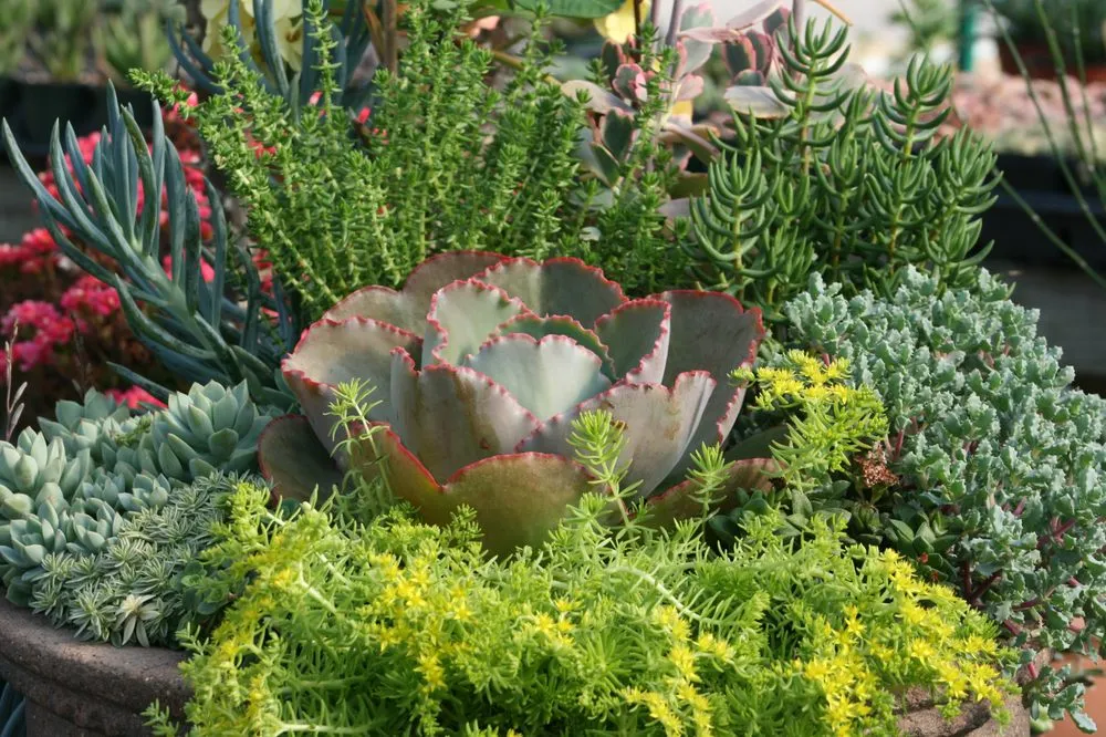 Top-rated landscape design for residential properties across Lumberton, MS - The Flower Bed Nursery