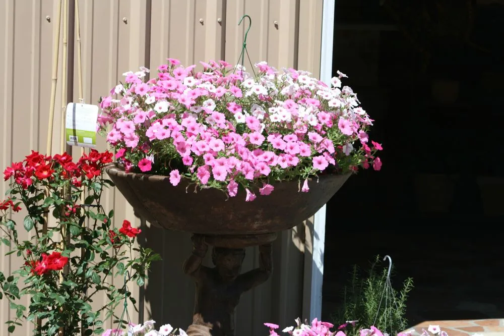 Affordable lawn mowing service in Lumberton, MS by The Flower Bed Nursery