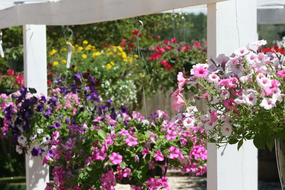 Custom garden landscaping experts serving Lumberton, MS - The Flower Bed Nursery