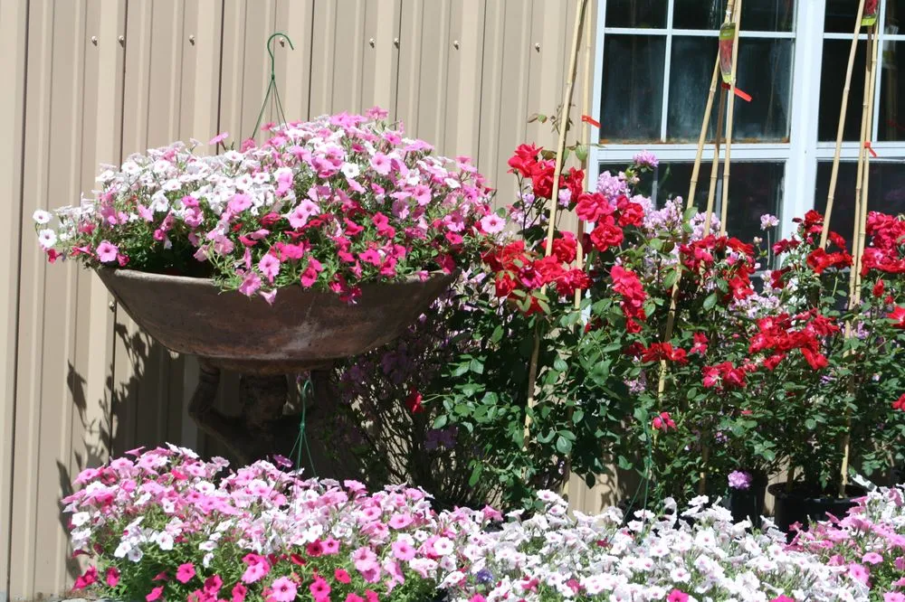 Top-rated landscape installation experts serving Lumberton, MS - The Flower Bed Nursery