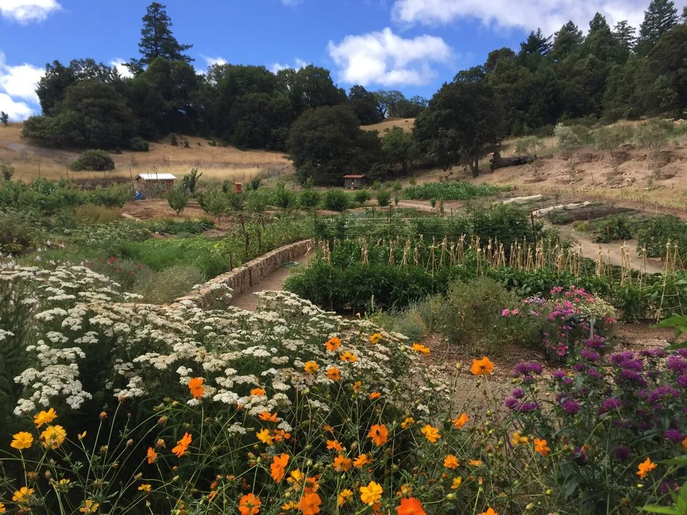 Trusted landscaping services in Sebastopol, CA - The Flowering Earth