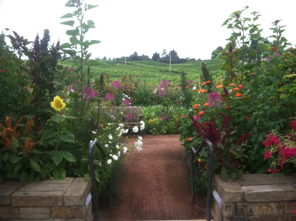 Affordable garden landscaping experts serving Sebastopol, CA - The Flowering Earth