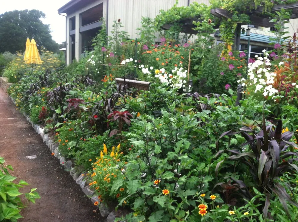 Local outdoor landscaping in Sebastopol, CA by The Flowering Earth