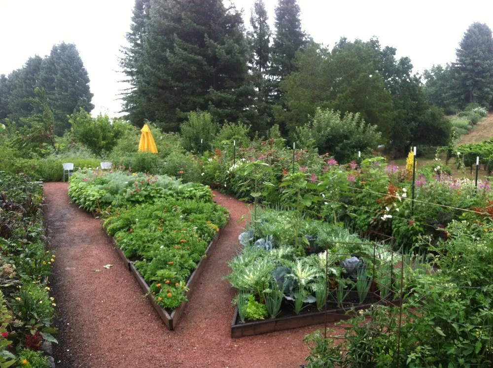 Affordable yard maintenance experts serving Sebastopol, CA - The Flowering Earth