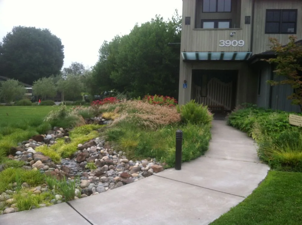 Affordable yard cleanup service with custom design across Sebastopol, CA - The Flowering Earth