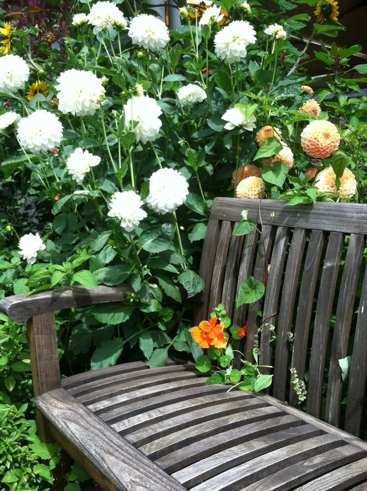 Professional residential landscaping in Sebastopol, CA - The Flowering Earth