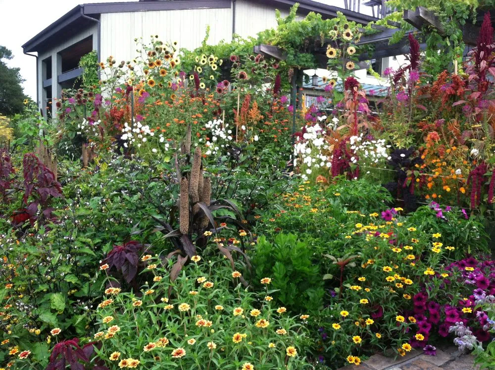 Custom yard maintenance in Sebastopol, CA - The Flowering Earth