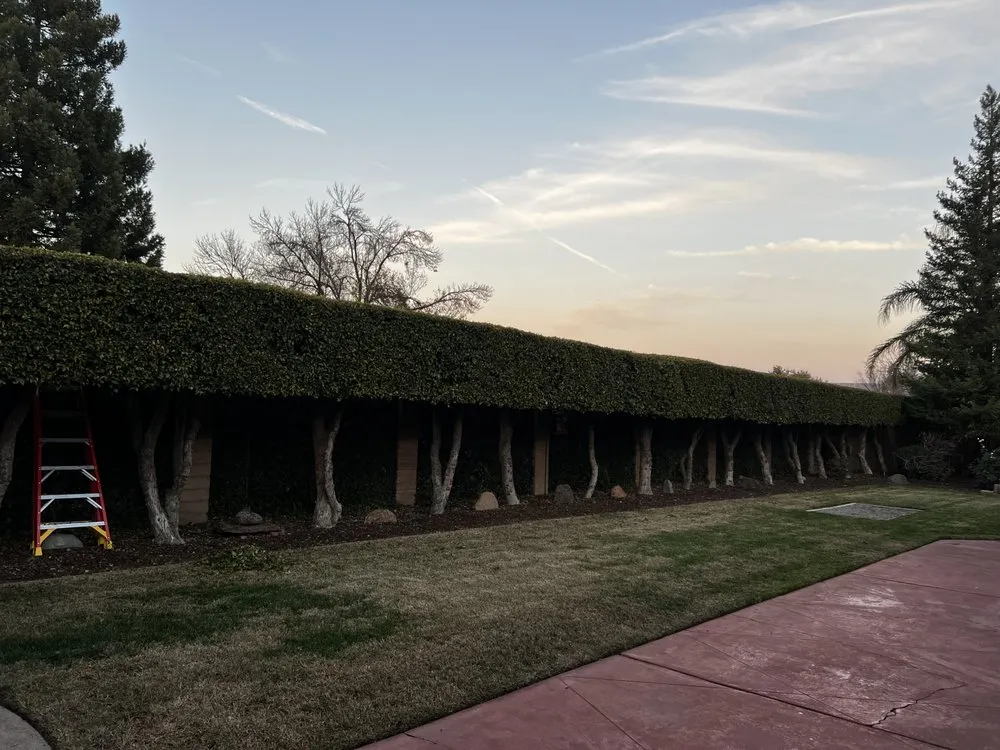 Professional residential landscaping experts serving Turlock, CA - The Four Jacks Lawn Care