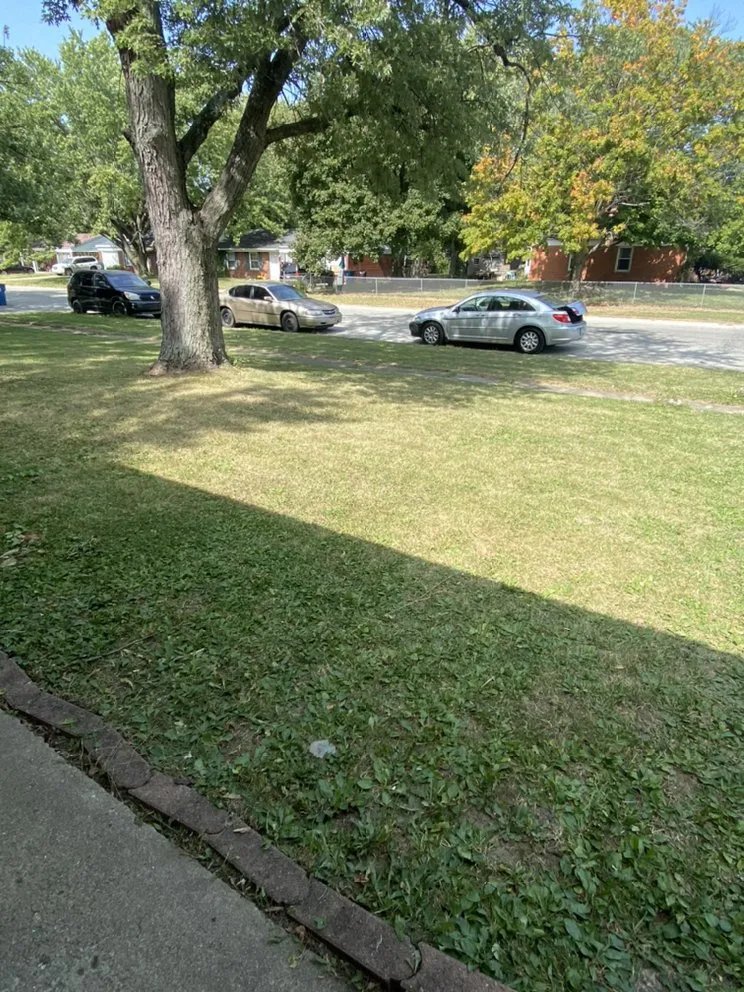 Reliable lawn care service experts serving Warren Park, IN - The Four Seasons