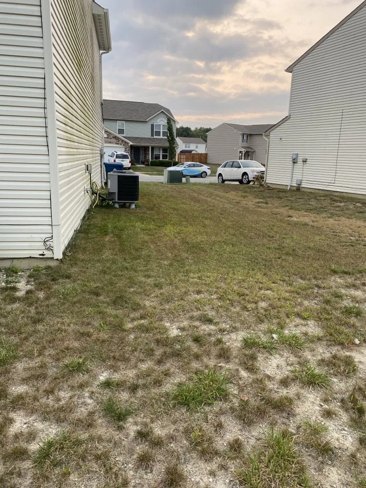 Top-rated residential landscaping in Warren Park, IN by The Four Seasons