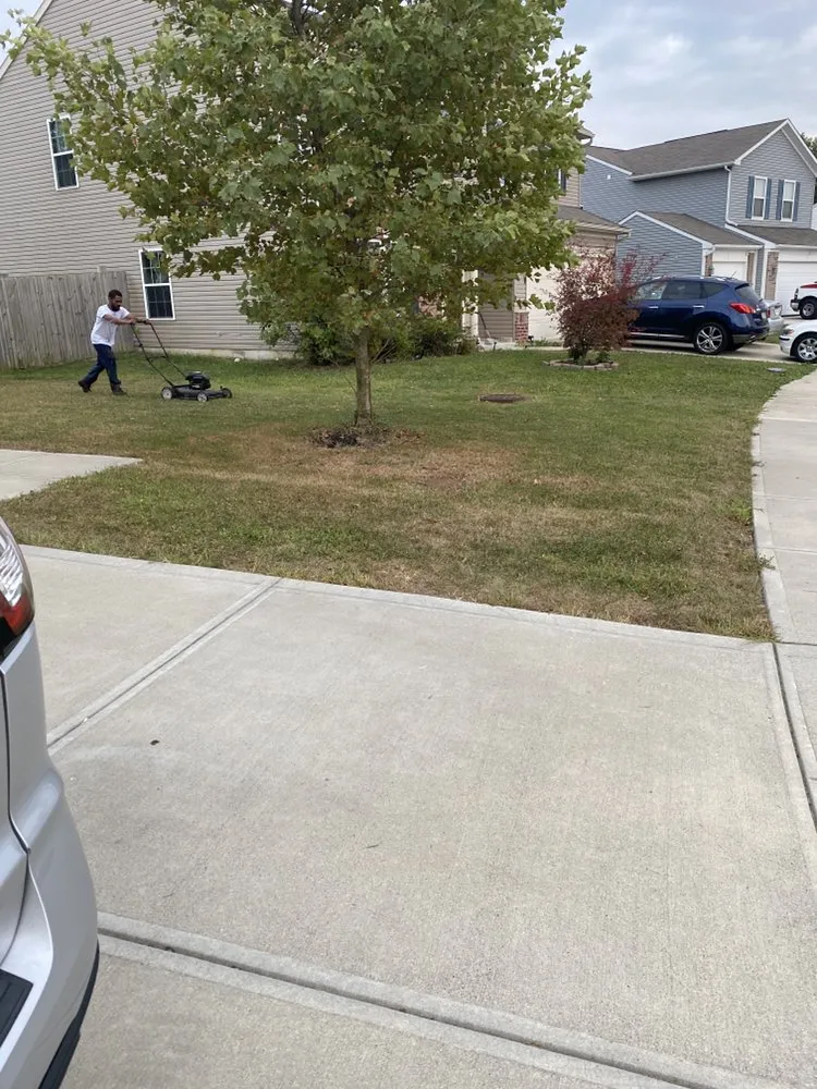 Top-rated yard cleanup service near you in Warren Park, IN by The Four Seasons