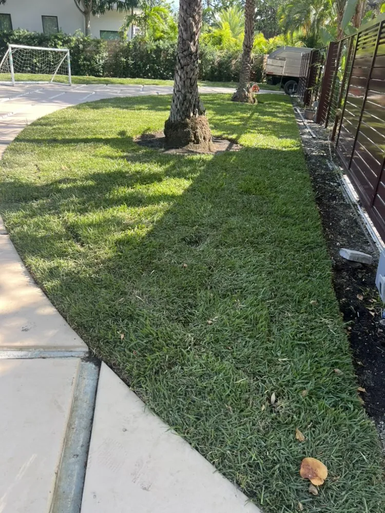 Expert yard cleanup service experts serving Fort Lauderdale, FL - The frank landscape