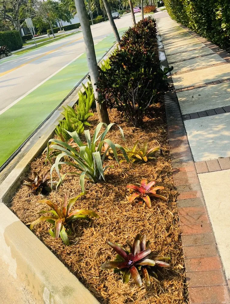 Trusted lawn care service for residential properties across Fort Lauderdale, FL - The frank landscape