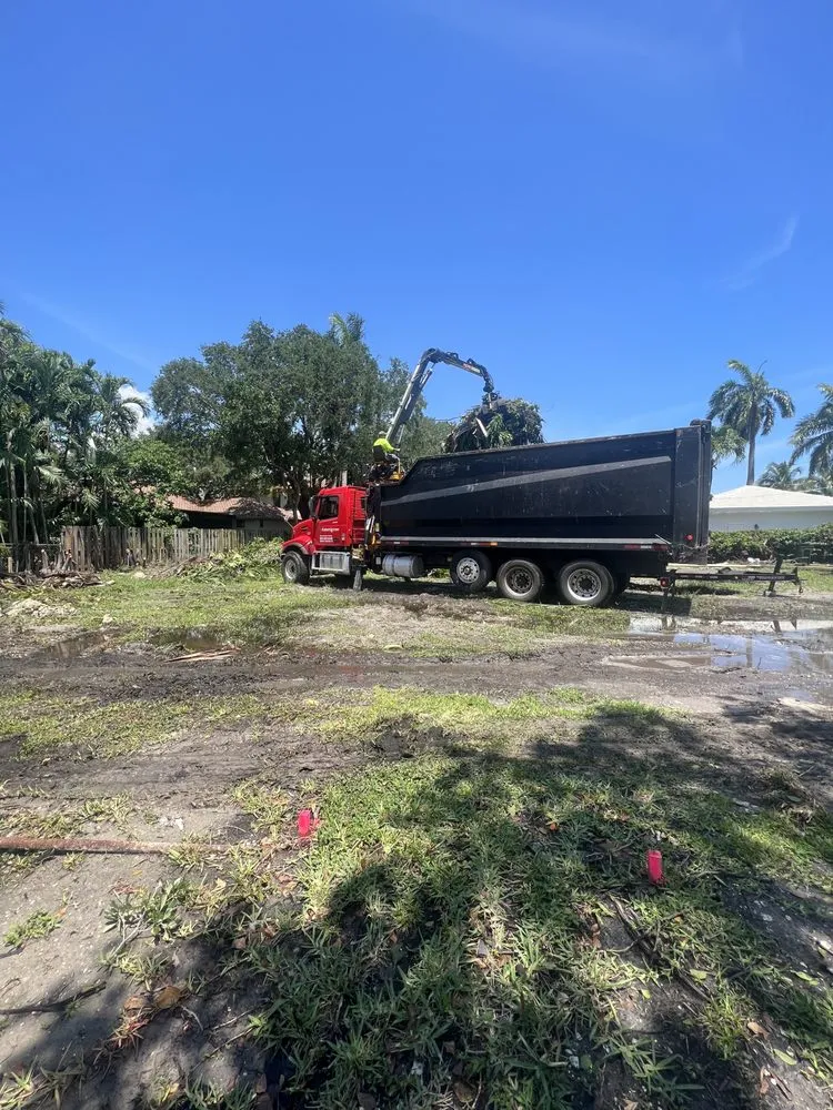 Affordable landscape design experts serving Fort Lauderdale, FL - The frank landscape