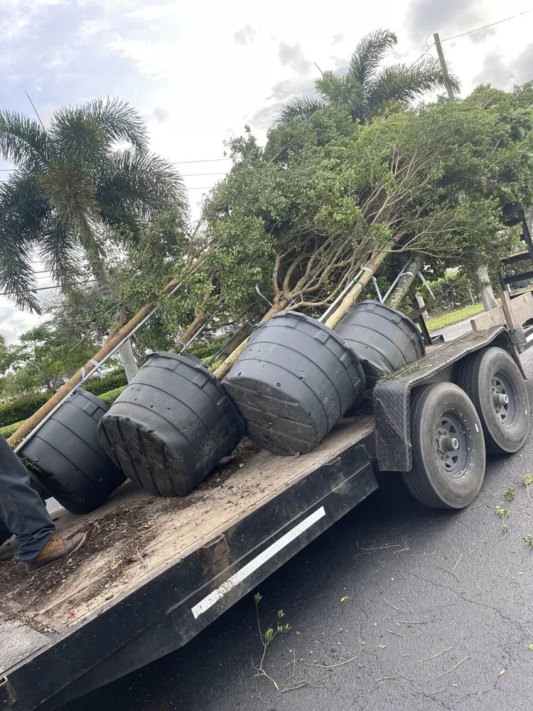 Professional residential landscaping in Fort Lauderdale, FL - The frank landscape