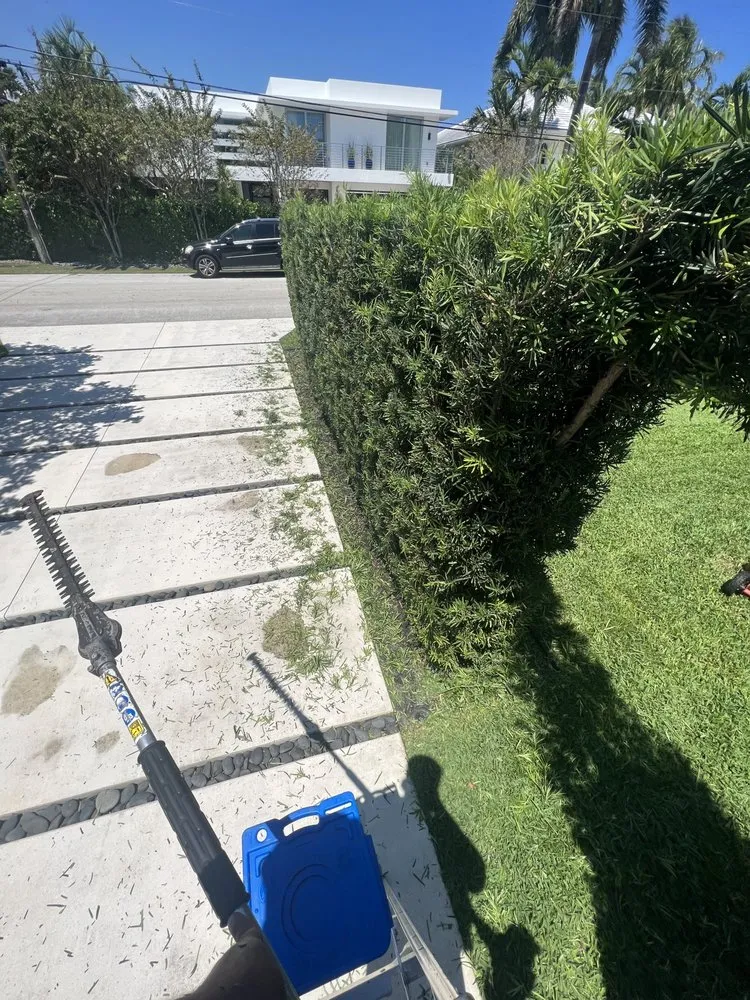 Local landscaping services with custom design across Fort Lauderdale, FL - The frank landscape