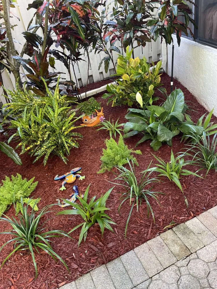 Expert lawn mowing service for outdoor upgrades across Fort Lauderdale, FL - The frank landscape
