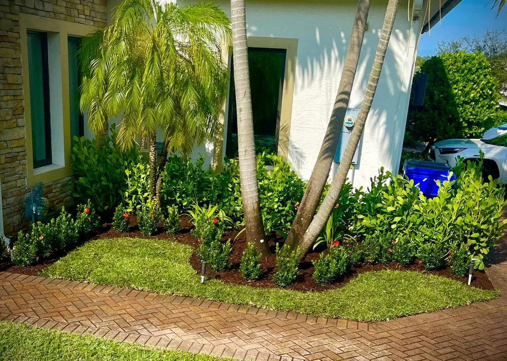 Expert landscaping services for outdoor upgrades across Fort Lauderdale, FL - The frank landscape
