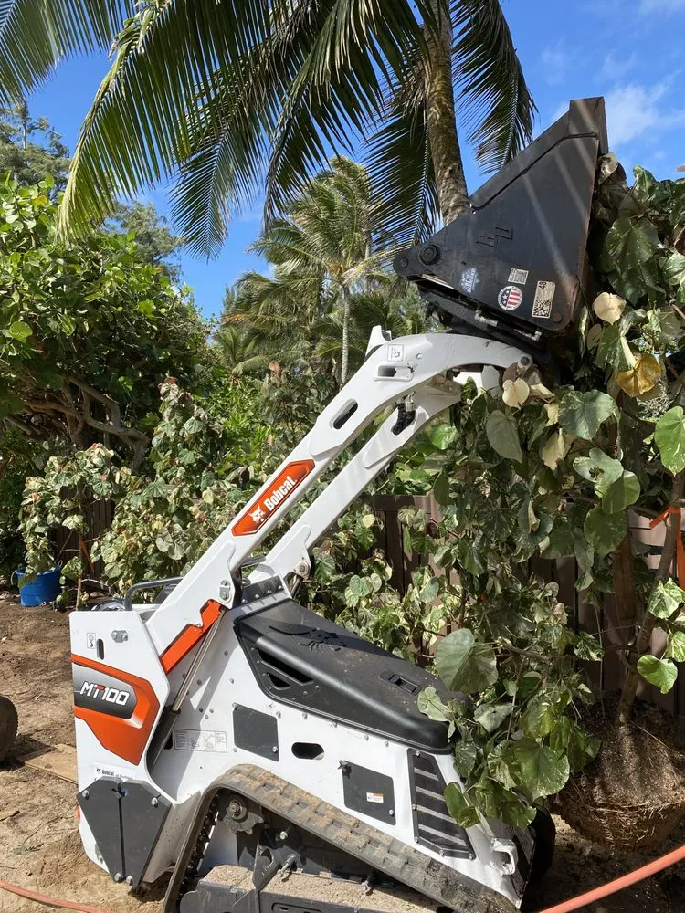 Trusted landscape design experts serving Urban Honolulu, HI - The Friendly Bobcat