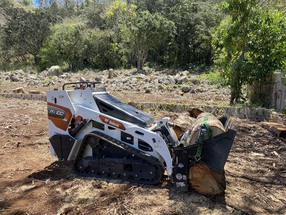 Affordable yard cleanup service near you across Urban Honolulu, HI - The Friendly Bobcat