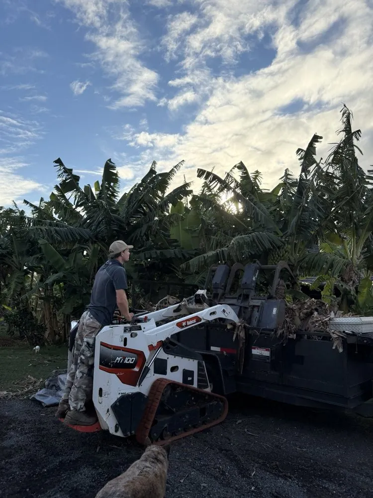 Expert yard cleanup service in Urban Honolulu, HI by The Friendly Bobcat