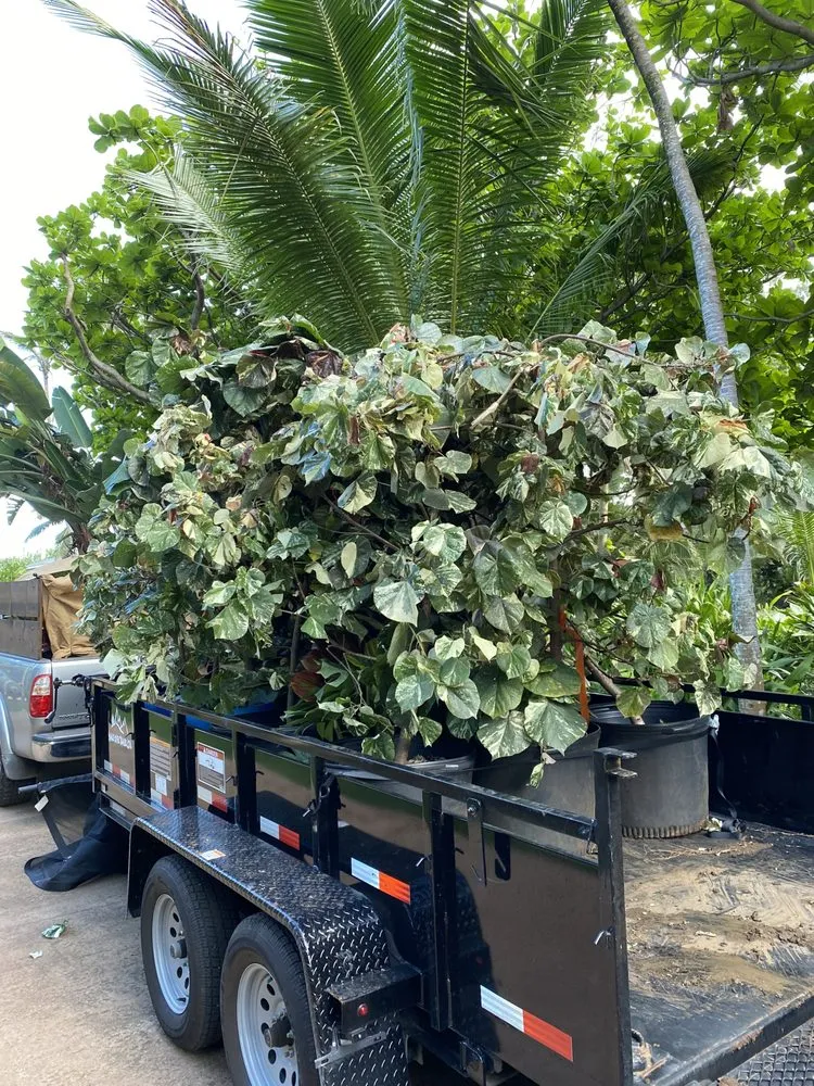 Affordable lawn care service experts serving Urban Honolulu, HI - The Friendly Bobcat