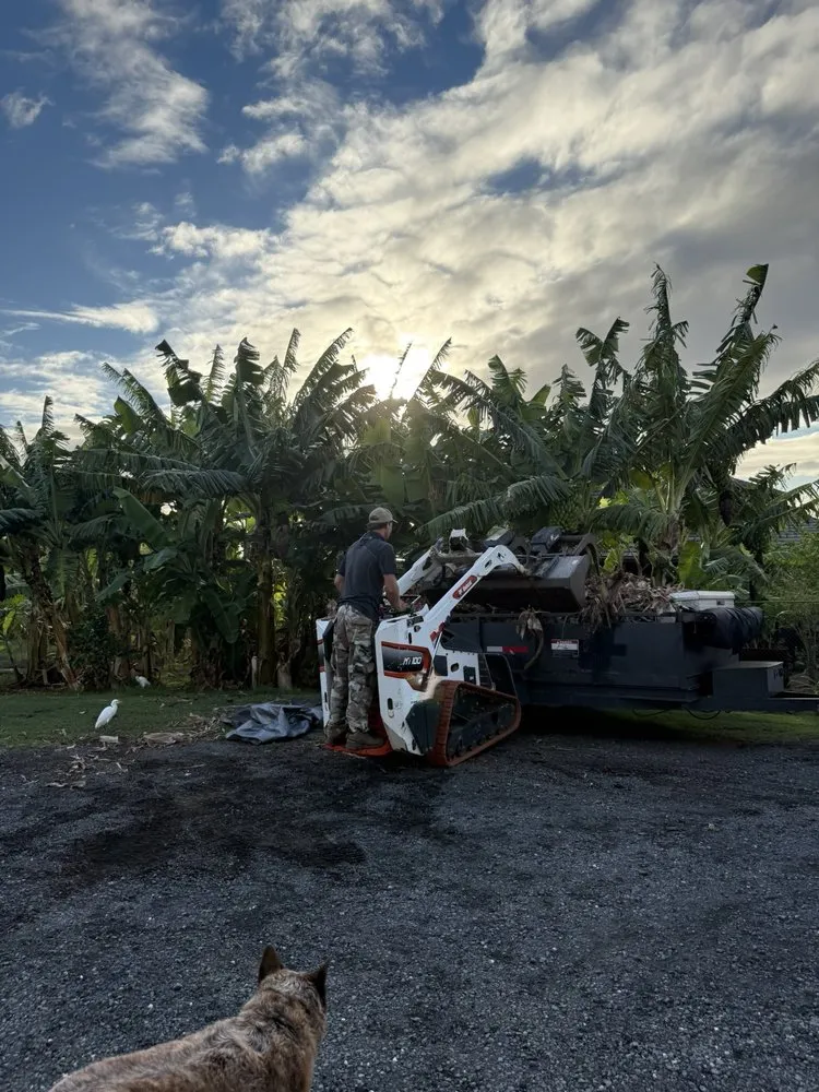 Reliable lawn mowing service experts serving Urban Honolulu, HI - The Friendly Bobcat