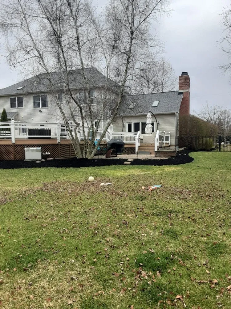 Affordable yard cleanup service in Morristown, NJ by The Friends Company