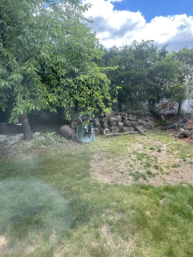 Trusted landscape design experts serving Morristown, NJ - The Friends Company