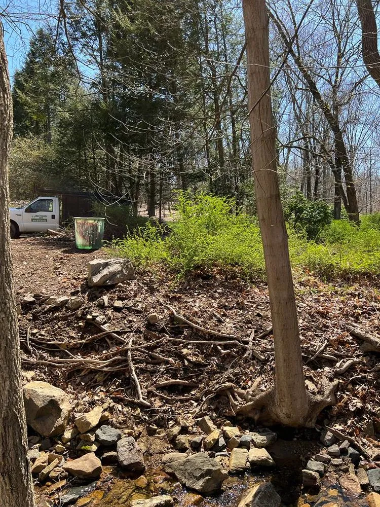 Custom residential landscaping in Morristown, NJ by The Friends Company