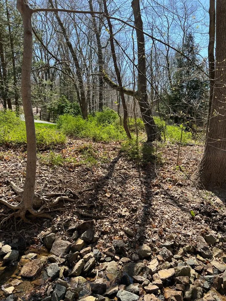 Trusted garden landscaping for residential properties in Morristown, NJ by The Friends Company