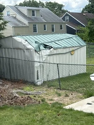 The Friends Company Logo