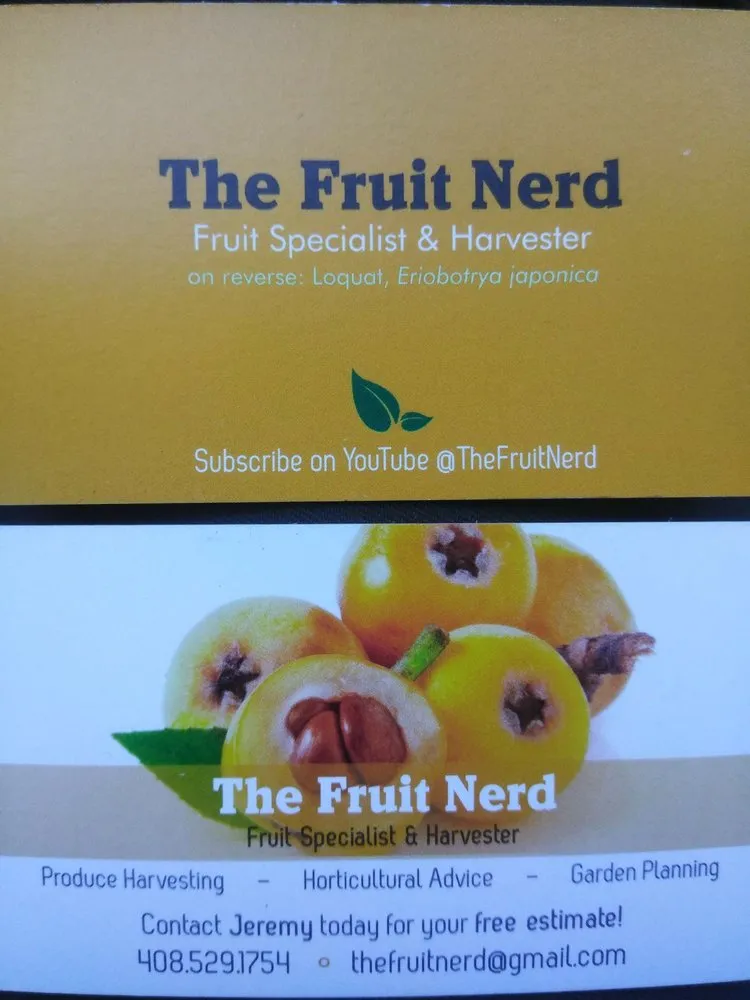 Trusted lawn mowing service in San Jose, CA by The Fruit Nerd