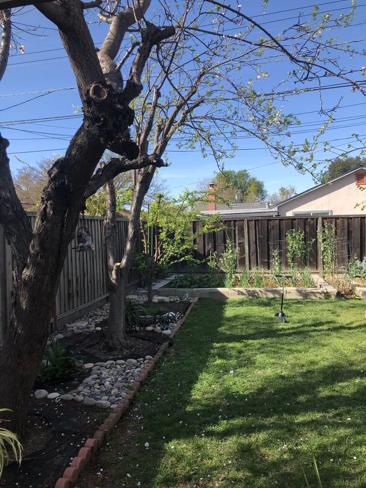 Trusted lawn mowing service in San Jose, CA - The Fruit Nerd