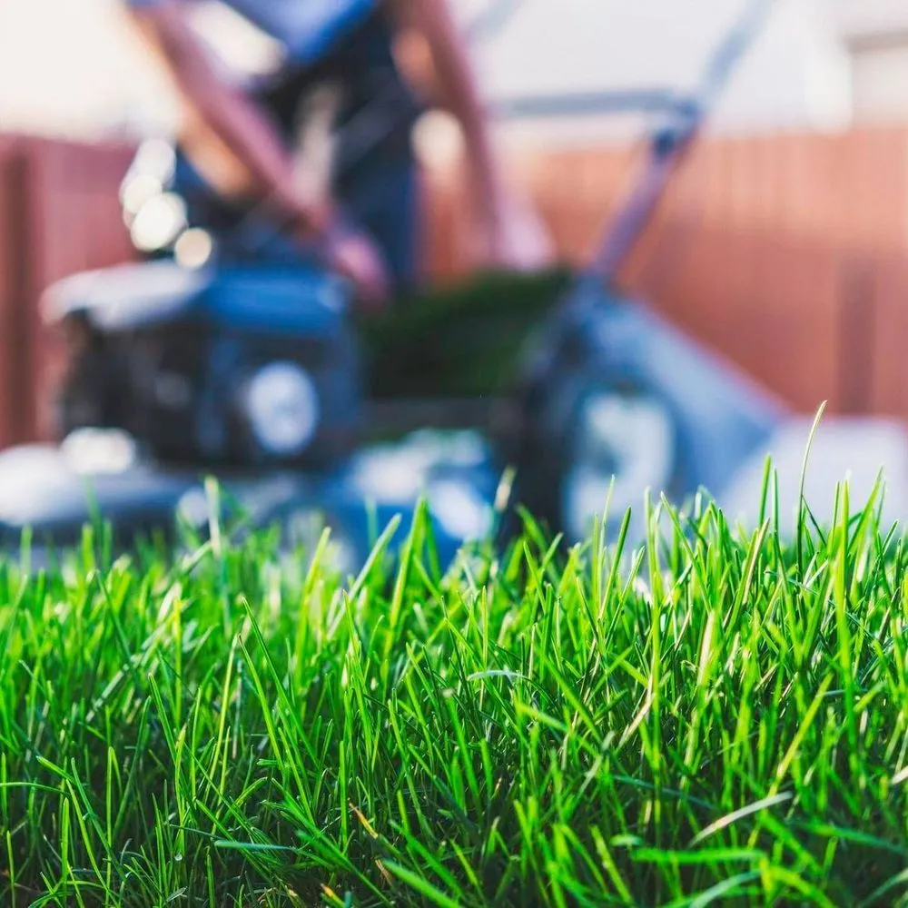 Trusted residential landscaping experts serving Conover, NC - The Fuller's Handyman and Lawncare