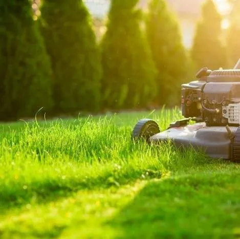 Affordable yard cleanup service experts serving Conover, NC - The Fuller's Handyman and Lawncare