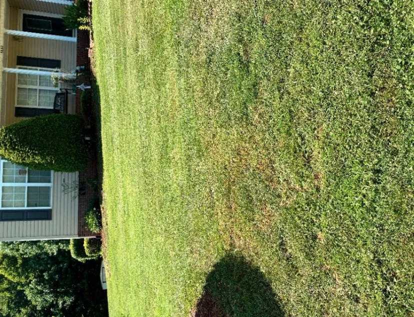Reliable residential landscaping in Conover, NC - The Fuller's Handyman and Lawncare
