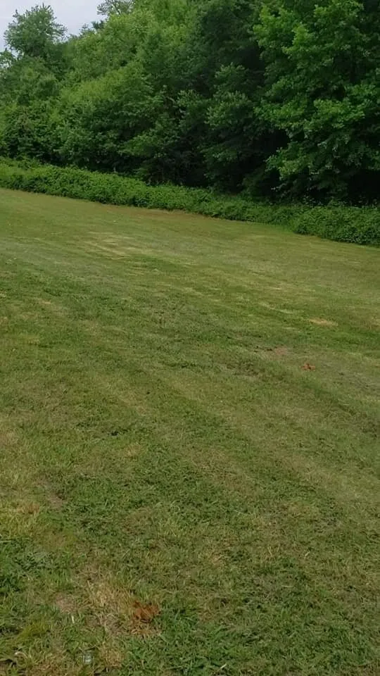 Trusted yard cleanup service in Conover, NC by The Fuller's Handyman and Lawncare