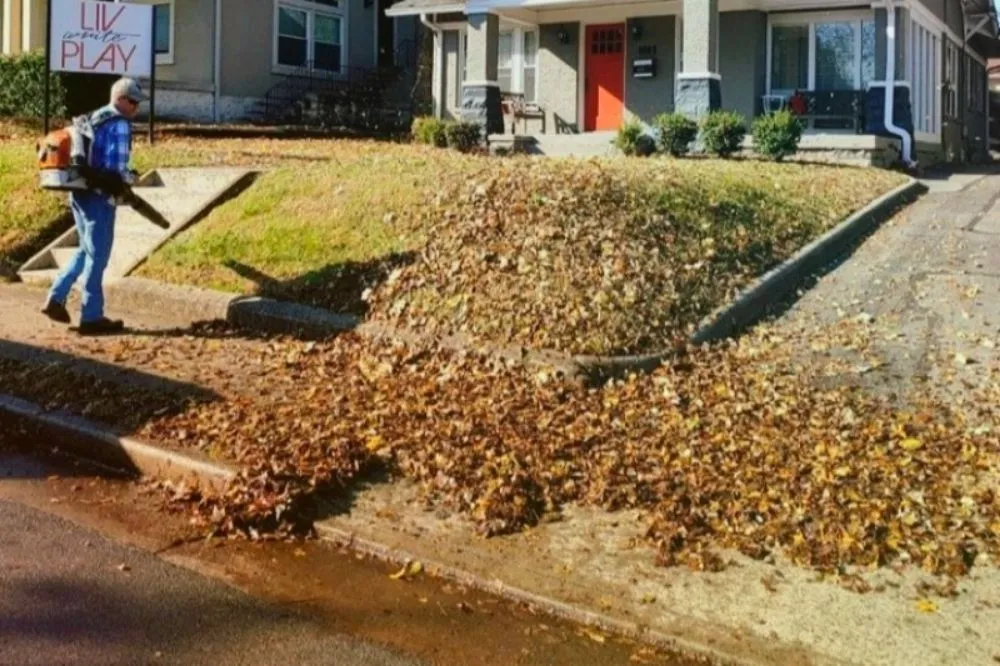 Top-rated garden landscaping in Ripley, TN - The Fullness Thereof