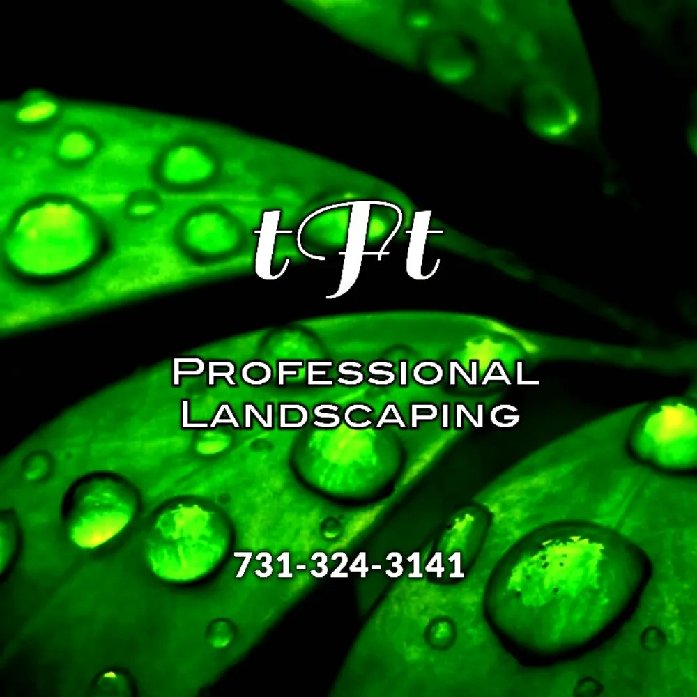 Trusted outdoor landscaping for beautiful yards across Ripley, TN - The Fullness Thereof